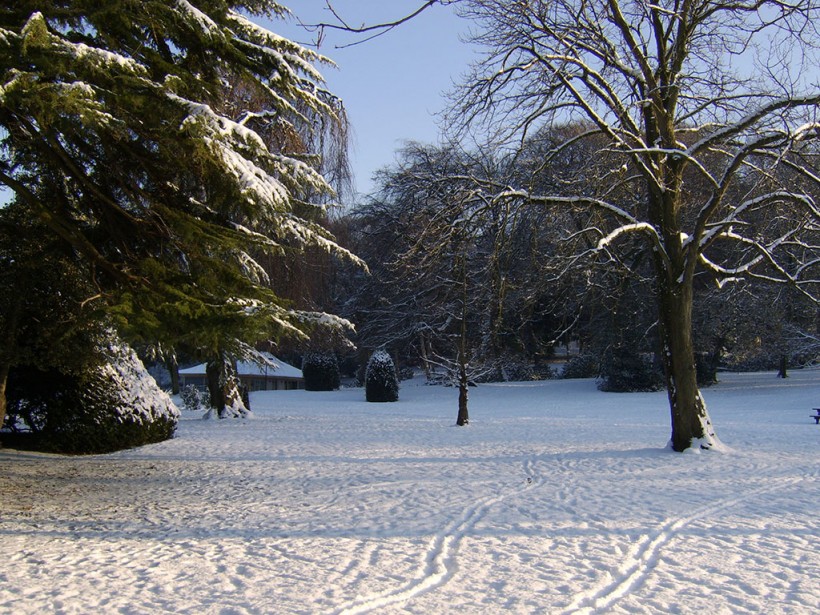 castle park snow scene trees sunlight 2014