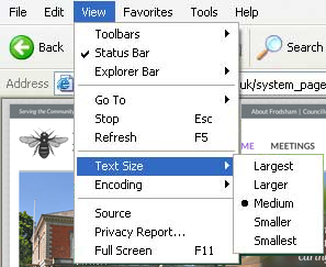 A screenshot from Internet Explorer demonstrating how to change the font size on screen