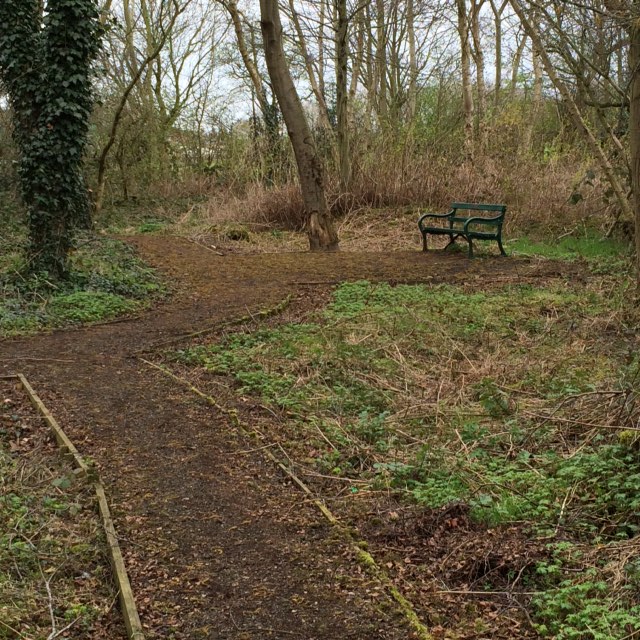 Old path cleared of weeds bench revealed at Frodsham Marshlands Tree Garden.