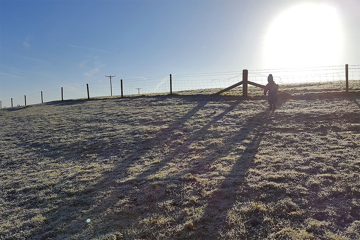 frosty river bank weaver valley sunrise cheshire