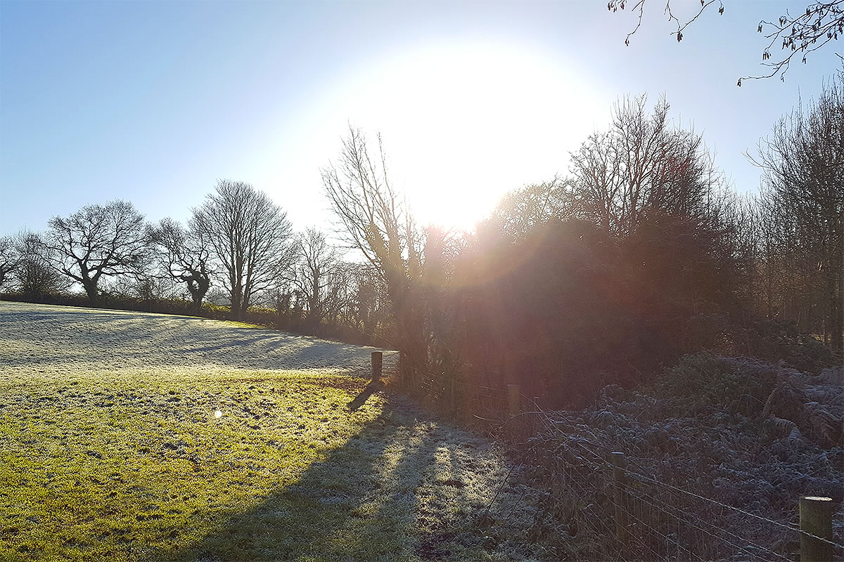 hob hey wood ellis lane frodsham