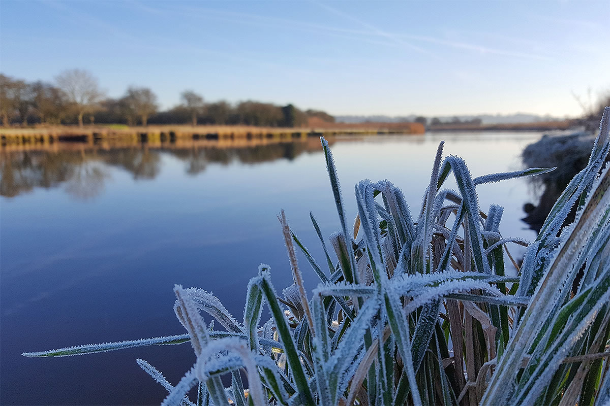 river weaver frodsham winter 2017 frosty grass
